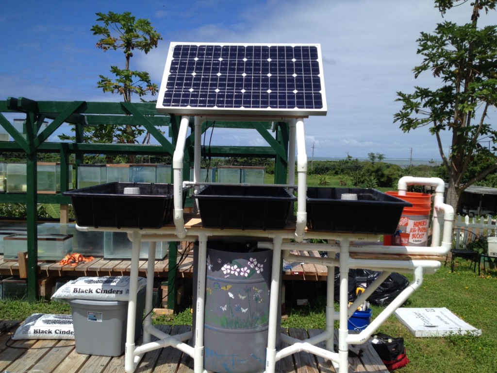 Solar Powered Aquaponics System